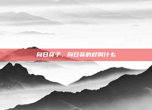向日葵子，向日葵的籽叫什么