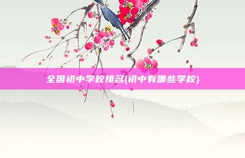 全国初中学校排名(初中有哪些学校)
