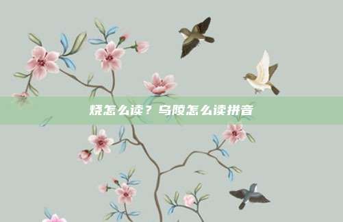 烧怎么读?乌陵怎么读拼音