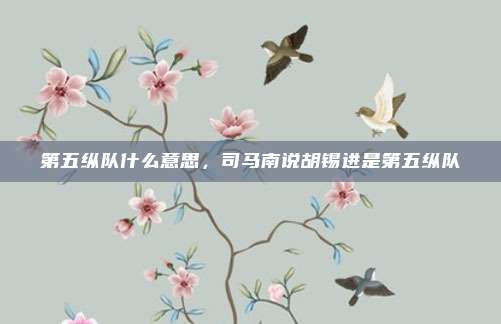 第五纵队什么意思，司马南说胡锡进是第五纵队