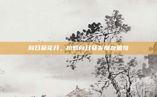 向日葵花开，拍照向日葵发朋友圈句