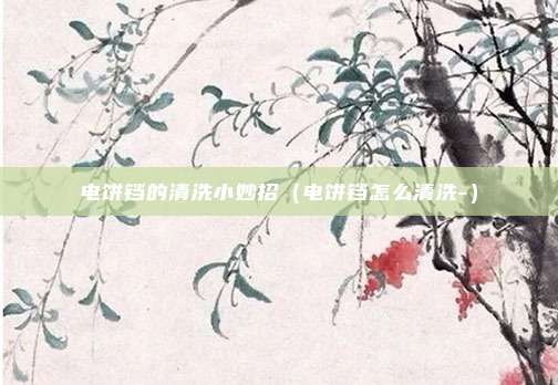 电饼铛的清洗小妙招(电饼铛怎么清洗-)