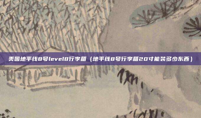 美国地平线8号level8行李箱（地平线8号行李箱20寸能装多少东西）