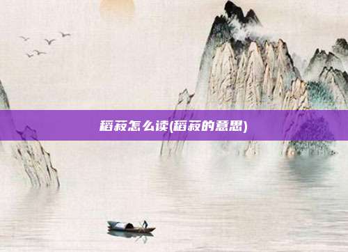 稻菽怎么读(稻菽的意思)