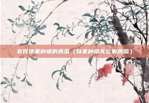 农民地里种植的西瓜（自家种植无公害西瓜）