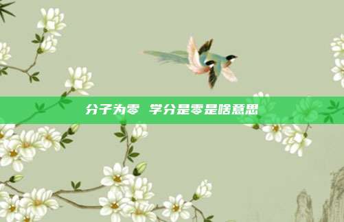 分子为零 学分是零是啥意思