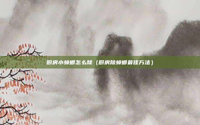 厨房小蟑螂怎么除（厨房除蟑螂最佳方法）