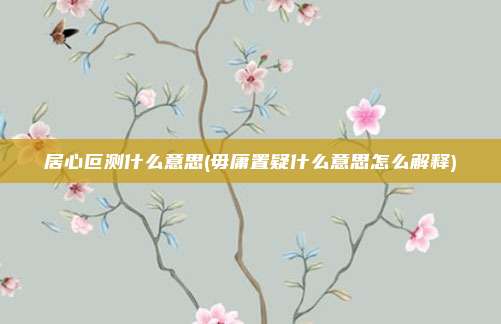 居心叵测什么意思(毋庸置疑什么意思怎么解释)