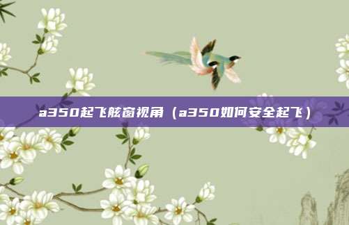 a350起飞舷窗视角（a350如何安全起飞）