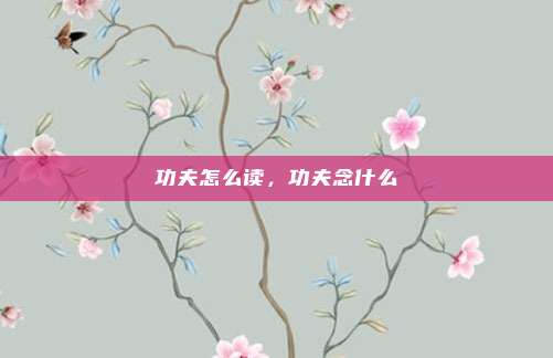 功夫怎么读，功夫念什么