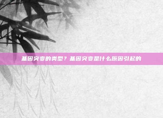 基因突变的类型？基因突变是什么原因引起的