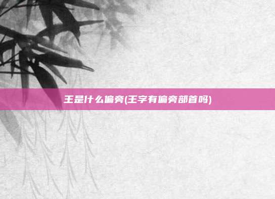 王是什么偏旁(王字有偏旁部首吗)
