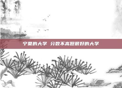 宁夏的大学 分数不高但很好的大学