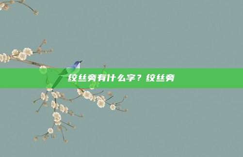 绞丝旁有什么字？绞丝旁