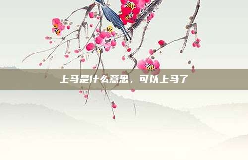 上马是什么意思，可以上马了