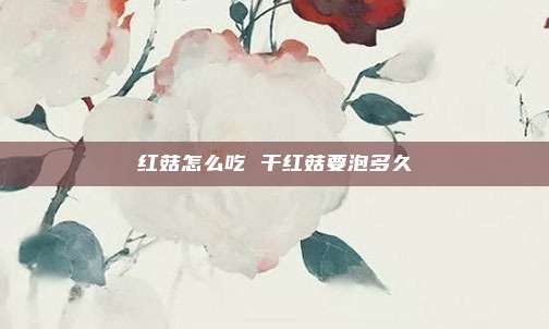 红菇怎么吃 干红菇要泡多久