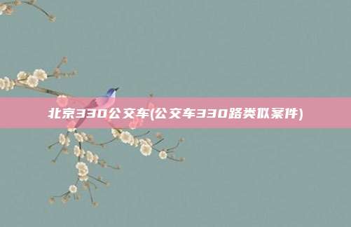 北京330公交车(公交车330路类似案件)