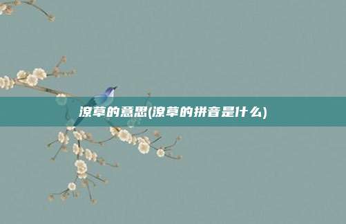 潦草的意思(潦草的拼音是什么)