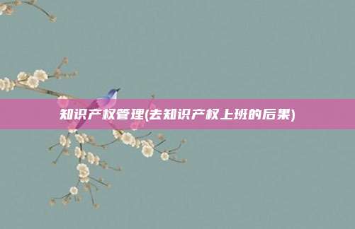 知识产权管理(去知识产权上班的后果)