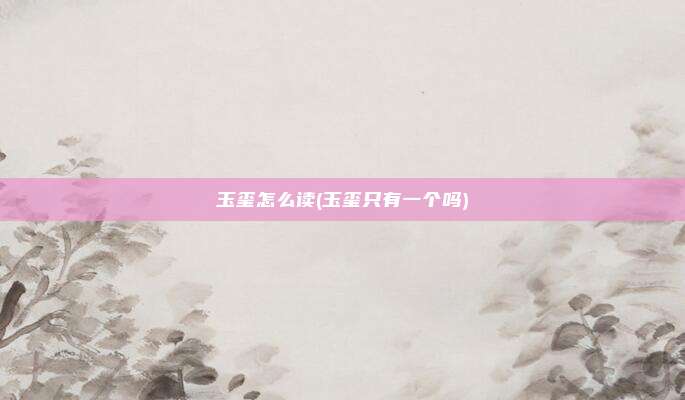 玉玺怎么读(玉玺只有一个吗)