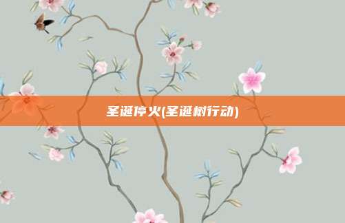 圣诞停火(圣诞树行动)