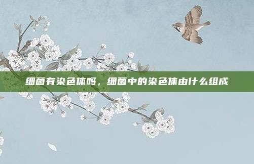 细菌有染色体吗，细菌中的染色体由什么组成