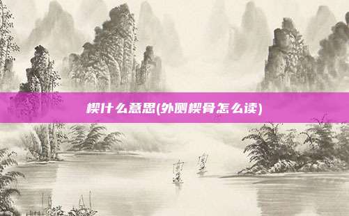 楔什么意思(外侧楔骨怎么读)