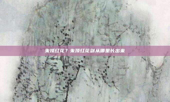 朱顶红花？朱顶红花剑从哪里长出来