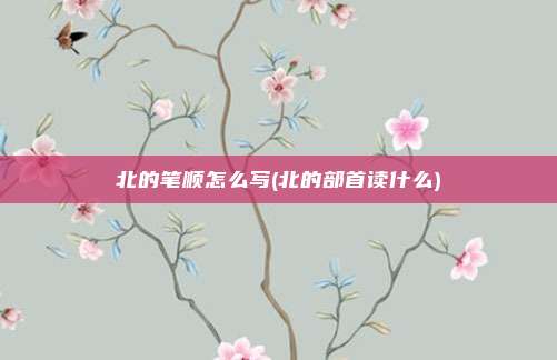 北的笔顺怎么写(北的部首读什么)