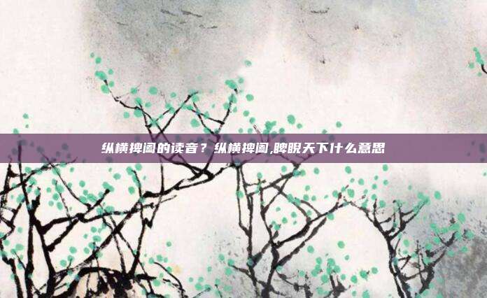 纵横捭阖的读音？纵横捭阖,睥睨天下什么意思
