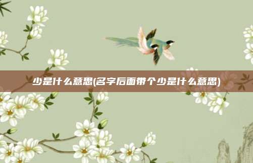 少是什么意思(名字后面带个少是什么意思)