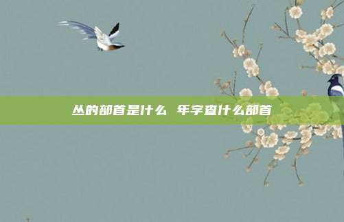 丛的部首是什么 年字查什么部首