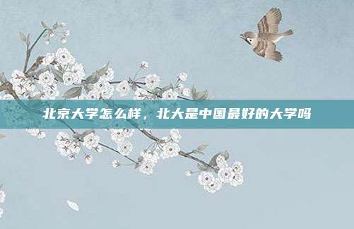 北京大学怎么样，北大是中国最好的大学吗