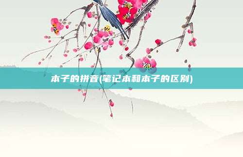 本子的拼音(笔记本和本子的区别)
