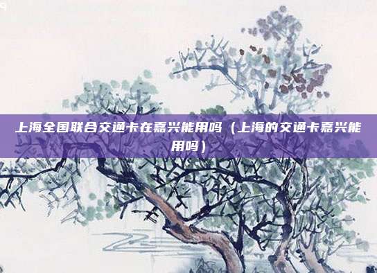 上海全国联合交通卡在嘉兴能用吗（上海的交通卡嘉兴能用吗）