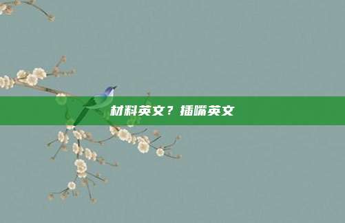 材料英文？插嘴英文