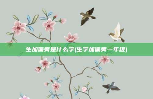 生加偏旁是什么字(生字加偏旁一年级)
