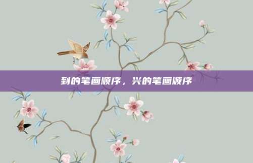 到的笔画顺序，兴的笔画顺序