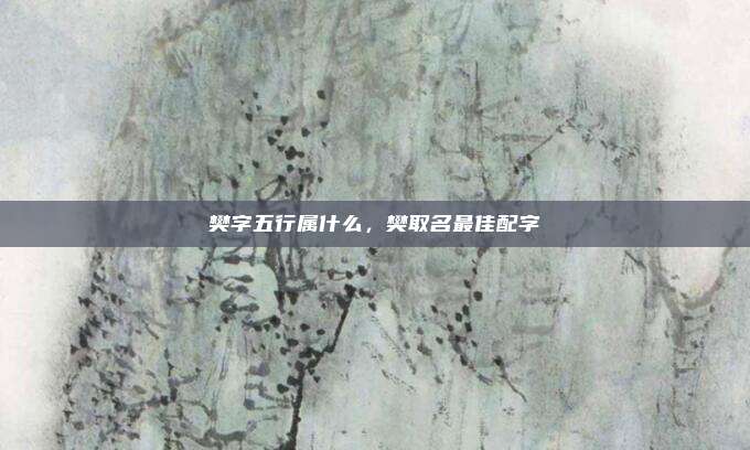 樊字五行属什么，樊取名最佳配字