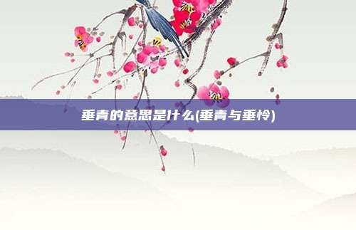 垂青的意思是什么(垂青与垂怜)