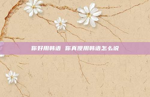 你好用韩语 你真傻用韩语怎么说