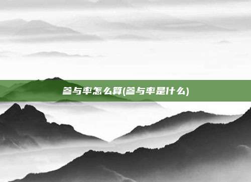 参与率怎么算(参与率是什么)