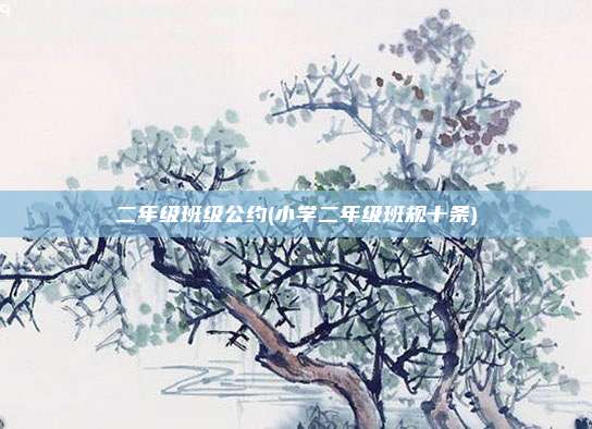 二年级班级公约(小学二年级班规十条)