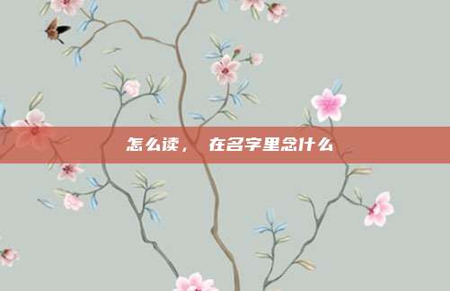 綝怎么读，綝在名字里念什么