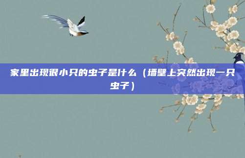 家里出现很小只的虫子是什么（墙壁上突然出现一只虫子）
