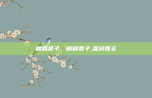 翩翩君子，翩翩君子,温润如玉