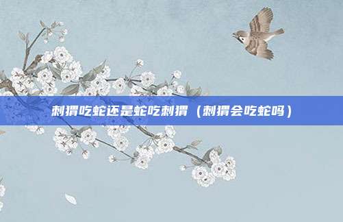 刺猬吃蛇还是蛇吃刺猬(刺猬会吃蛇吗)