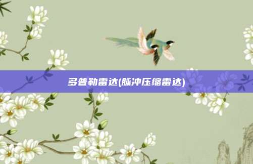 多普勒雷达(脉冲压缩雷达)