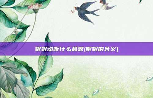 娓娓动听什么意思(娓娓的含义)