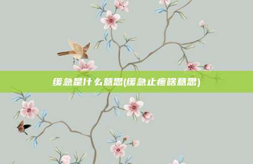 缓急是什么意思(缓急止疼啥意思)